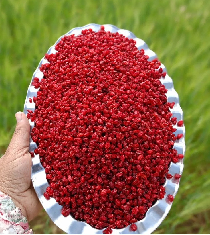 زرشک پفکی درجه 1 قائنات بسته 1 کیلویی